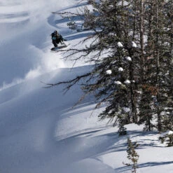 Lib Tech Libtech Golden Orca 2024 – New -Berg en Board Winkel dsc 8413